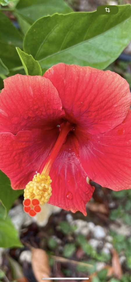 Recherche une partenaire spécialisé &amp;#128521;