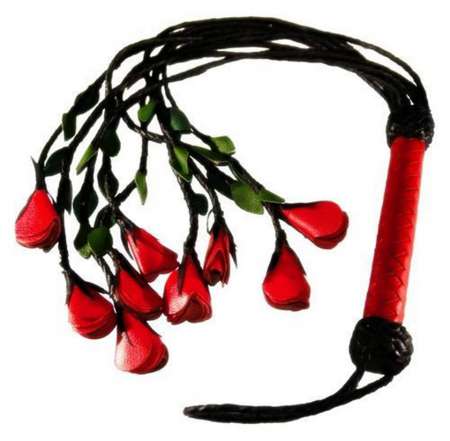 Maitre Pour Femme ou jf