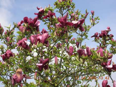 relation avec un travestie