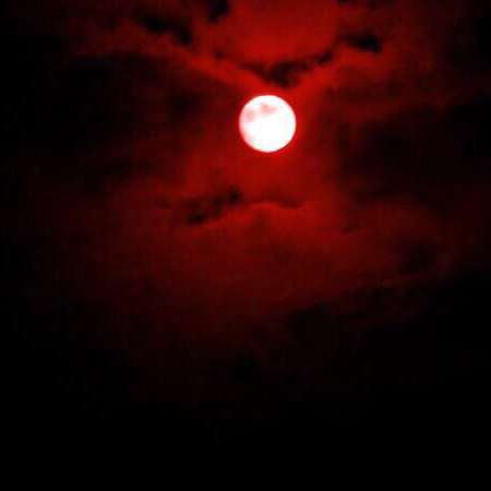 cunni, sexe, l�chage de seins,...