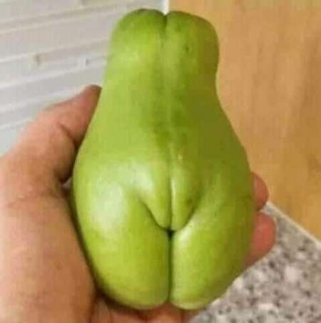 Je cherche une chikoura serieuse