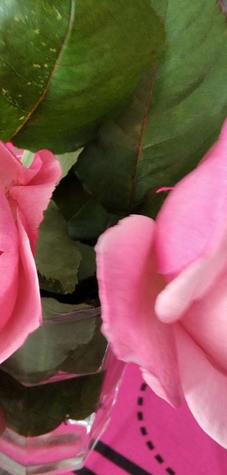 Recherche jf possible suivi