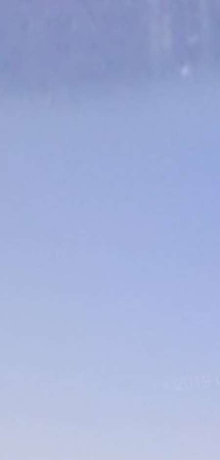 300 roses a chaque rencontre pr toi suivi possible