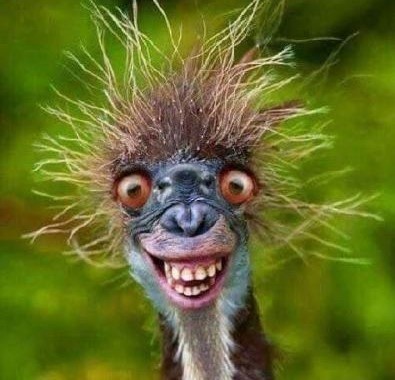 homme mure pour femme