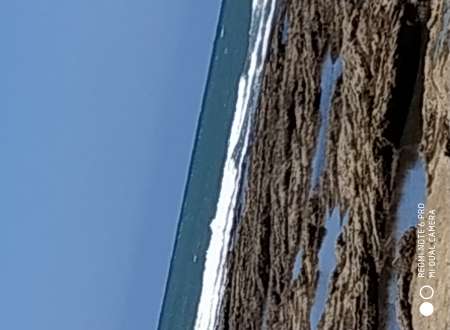 Couple cherche femme uniquement pour plaisir parta