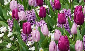 LE MASSAGE = LA CLE DU BIEN-ETRE