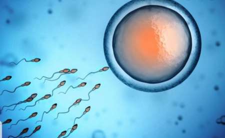 Dont de sperme ( QI DE 135) bonne capacit� mentale