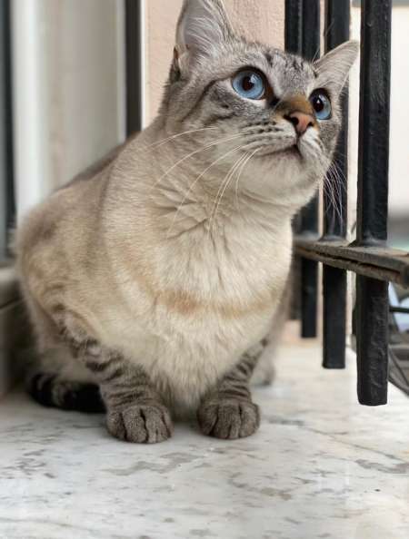 Jeune propose ses services d'accompagnement