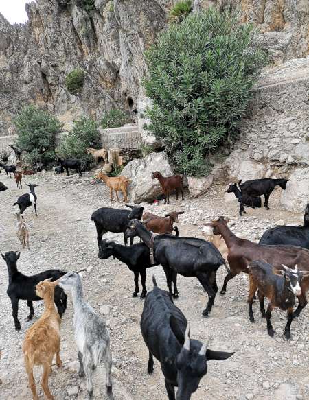  H francais recherche couple marocain