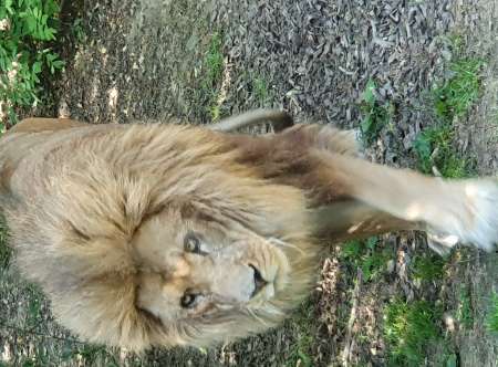 Cherche plan cul sans prise de t�te