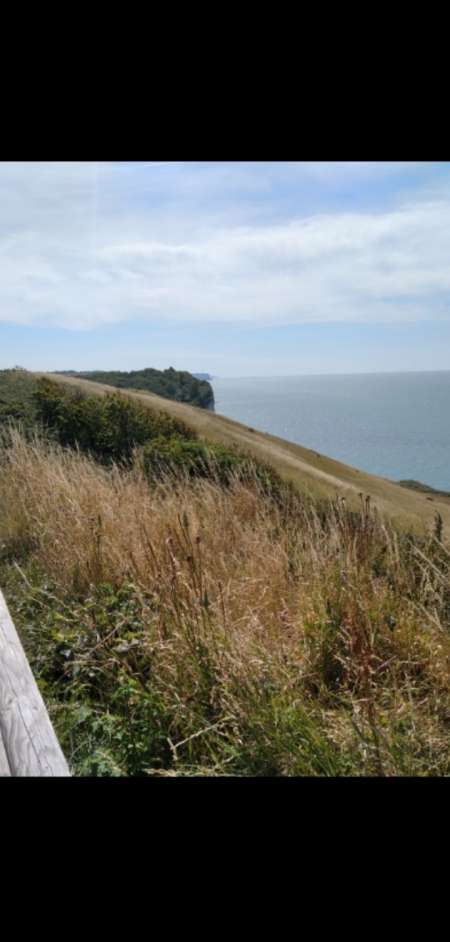 li� l utile a l'agr�able