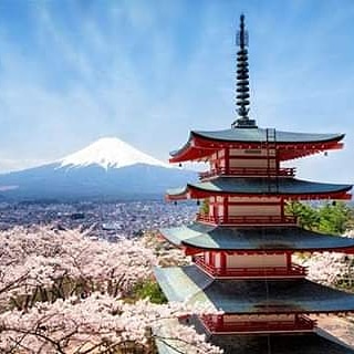 Cherche femme fil janoub. Je paye bien