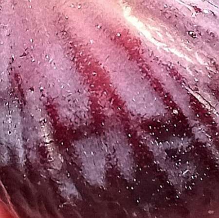 Boire l'eau de ta bouche !..