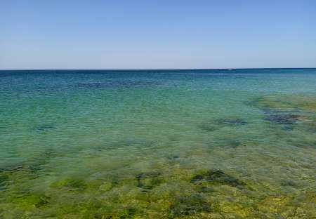 Propose cunni Pour tout �ge