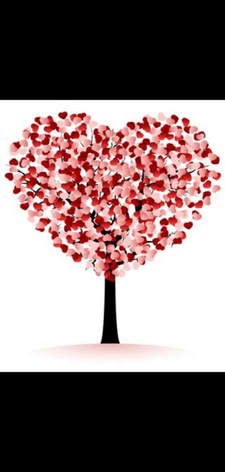 Homme black grosse bite