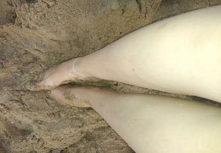 des nudes contre r�mun�ration