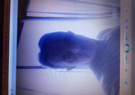 Homme recherche femme