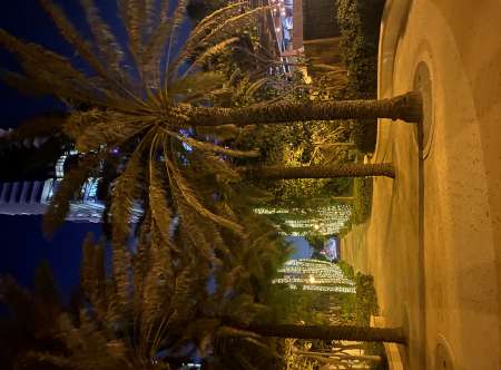 Cherche escorts Marrakech