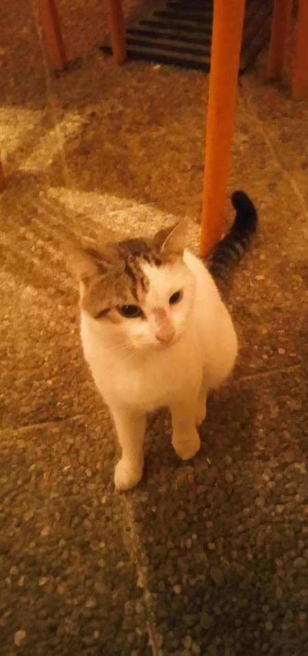 Cherche une relation durable