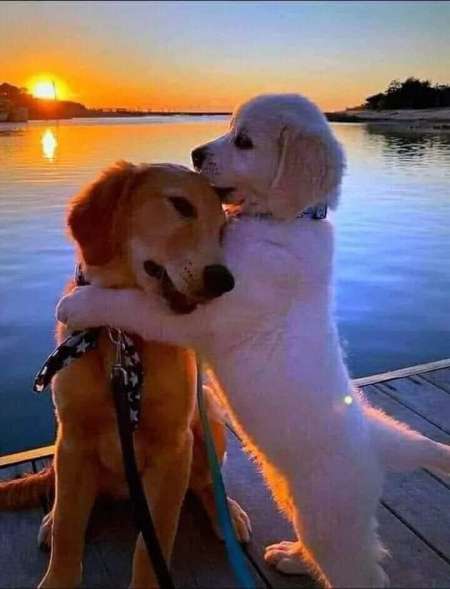 Tendre moments coquins