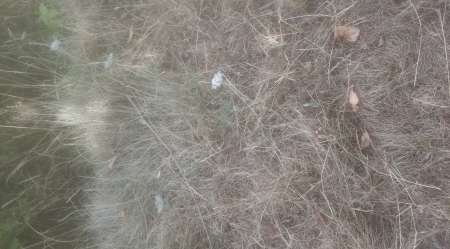 Cherche soumise pour mon maitre