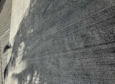 Toute proposition femme