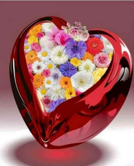 cherche femme pour mariage