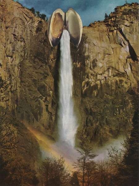 Achat d'urine f�minin