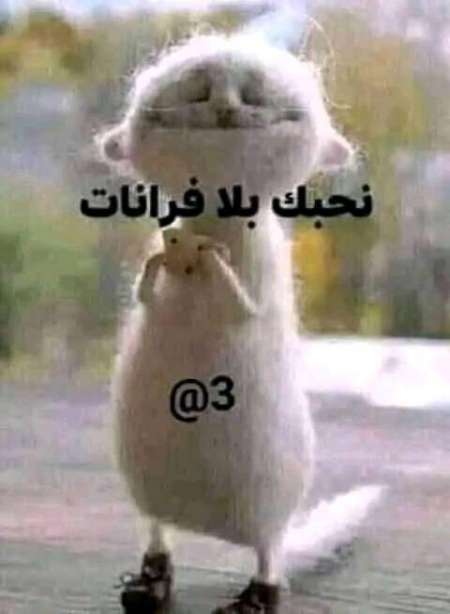 Jeune homme pour femme mature de 30ans +