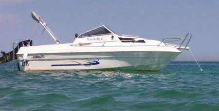 Promenade et baignade bateau contre gros c�lins