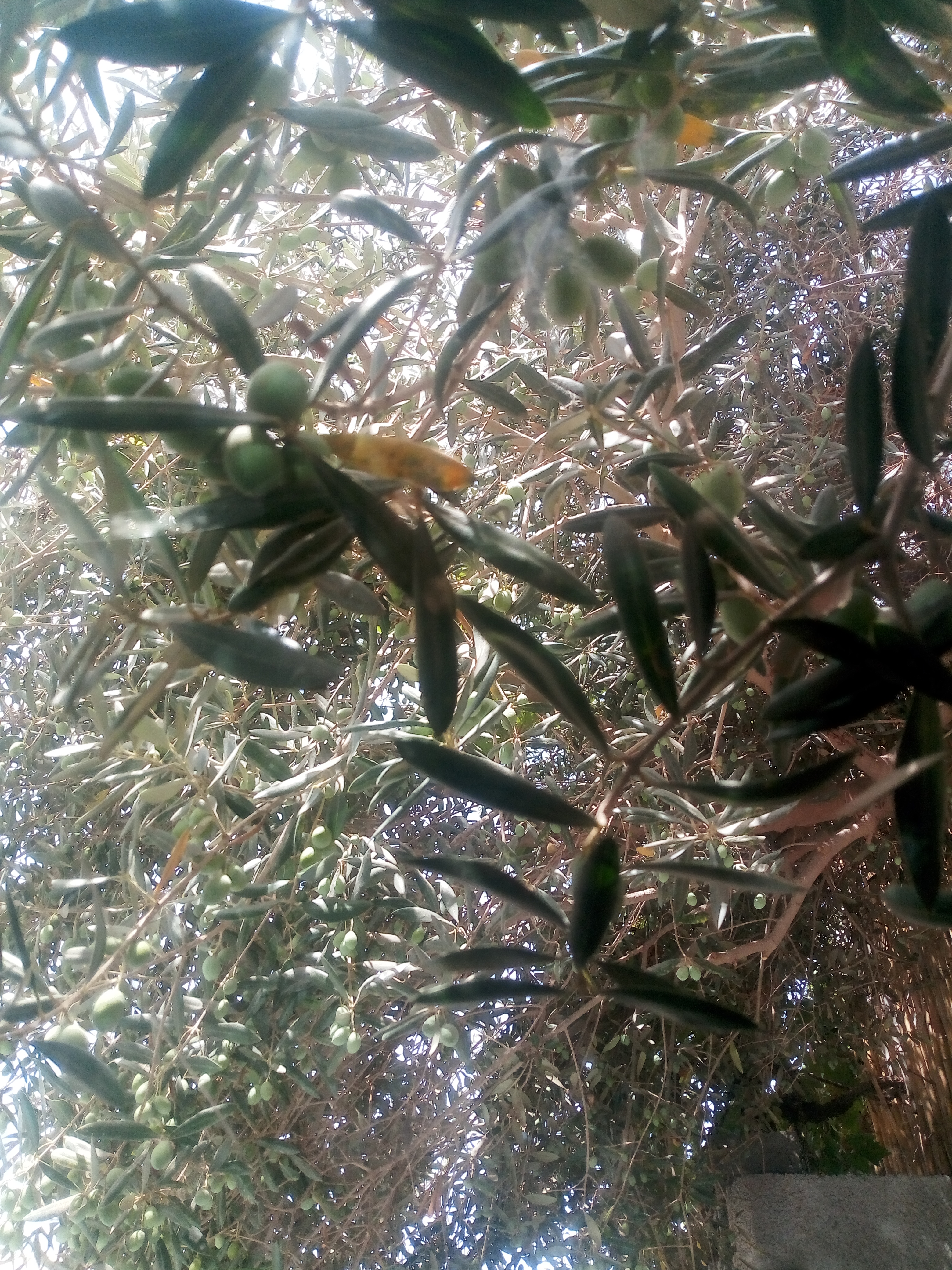 h. act cherche pass ou couple discret est serieux