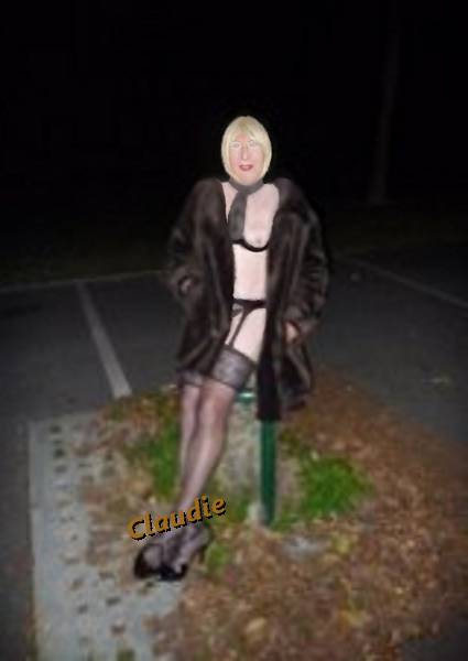 Transgenre plan sexe dans le 78 pr�s de Poissy