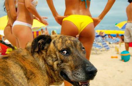 Homme mur convivial re�ois masseuse