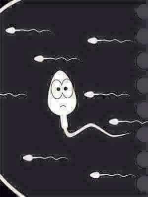 � votre service mes dames 