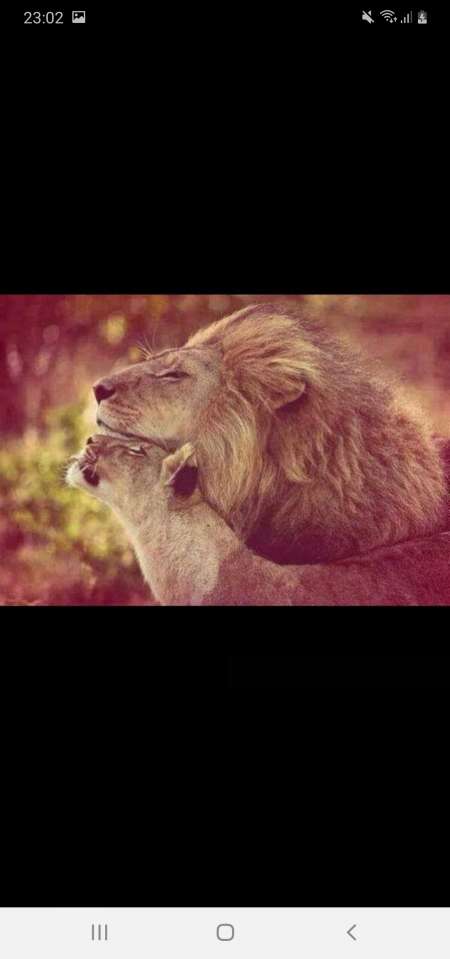 Sugar daddy pour une belle rencontre