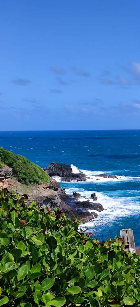 Sexe sans prise de t�te