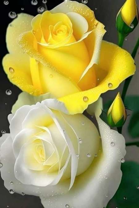 Rencontrer des femmes pour du plaisir et du bonheu