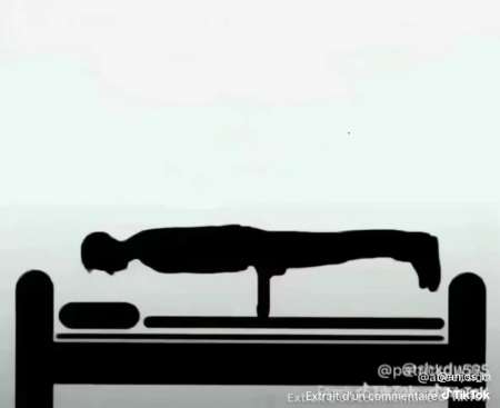 Une bonne chatte lise