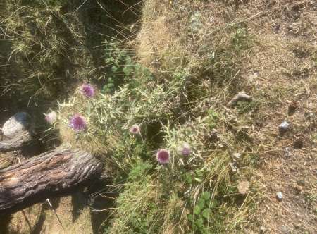 Rencontres en toute simplicit�