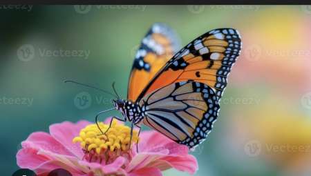 Femme bi cherche femme