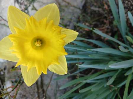 Vos orifices d�guster en profondeur