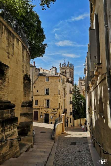 Racontre discr�te sur Montpellier H4F