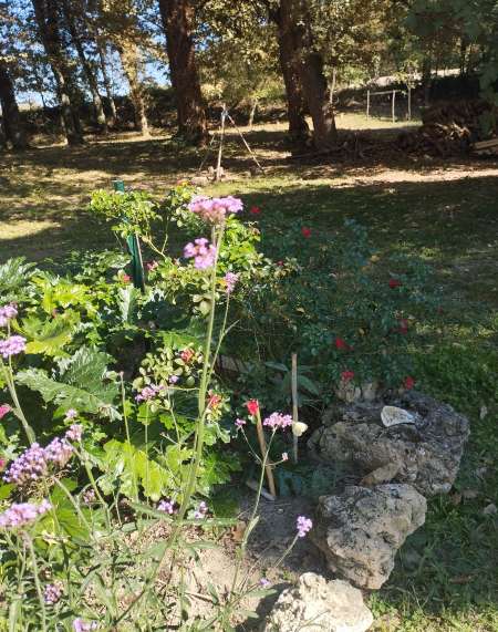 Serviteur pour dames de tout �ge