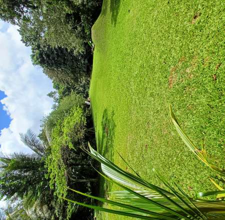 FANTASME R�ELLEMENT