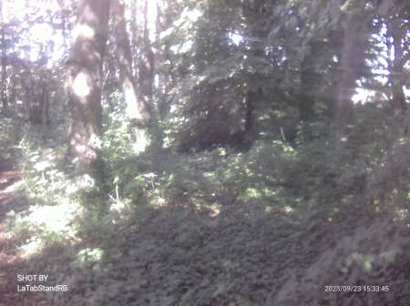 Femmes disponible pour rencontre suivie