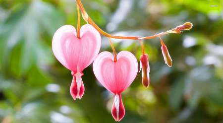 Pour le plaisir entre hommes