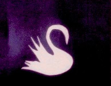 Sugar daddy energy....