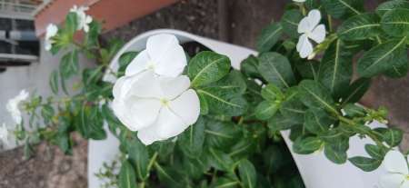 Massage detente et sensuel pour femmes