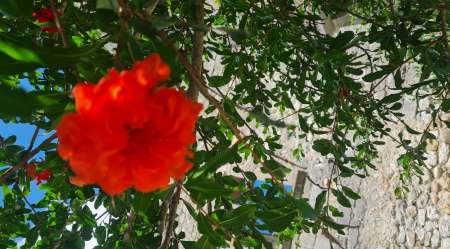 Massages relaxants et bien �tre