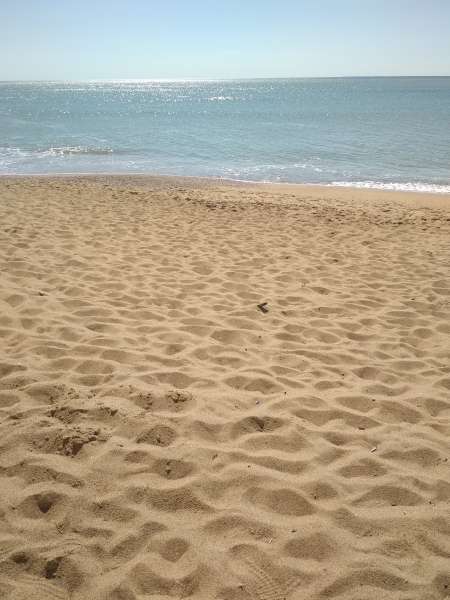 Cherche femme pour moment complice